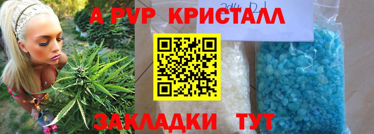 A PVP СК КРИС Тихвин