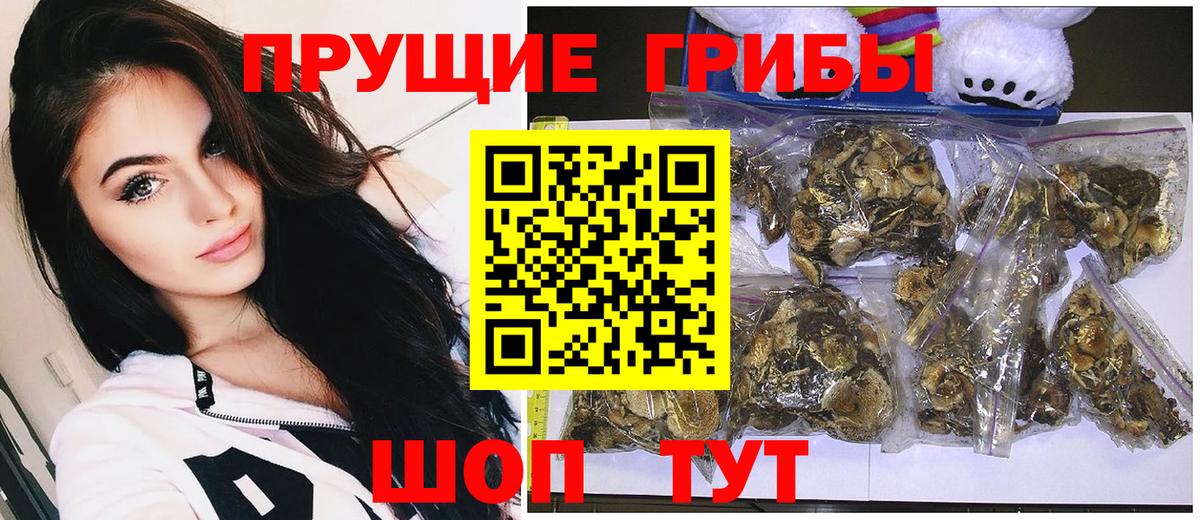 Галлюциногенные грибы мицелий Тихвин
